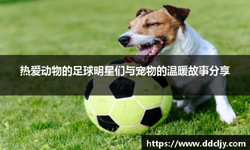 热爱动物的足球明星们与宠物的温暖故事分享